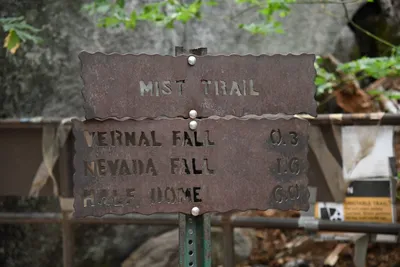 DSC_4704 (Large).JPG